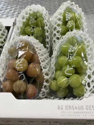 image0_7.jpeg